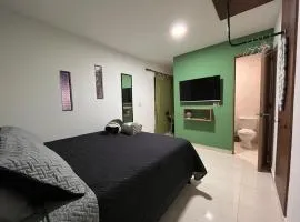 Olivo House