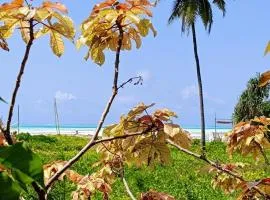 Mustafa 's Bungalow