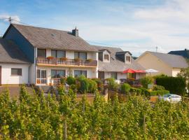 Pension und Weingut Moselblick, hotel in Brauneberg