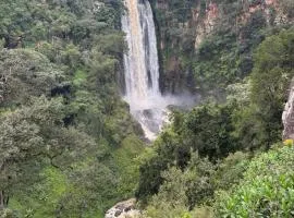 The falls hippo point