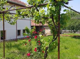 Guest House Art Eco Land, Ferienunterkunft in Ganchovets