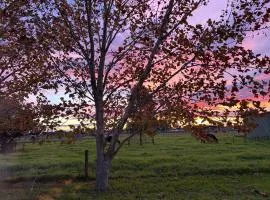Lorn Farm Stay