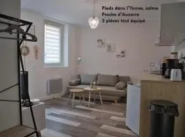 Logement de caractère au centre historique Joigny Zen 1