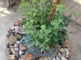 Japar, hotel v destinaci Bokonbayevo