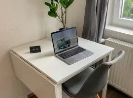 Neu saniertes Penthouse Apartment mit offener Wohnküche