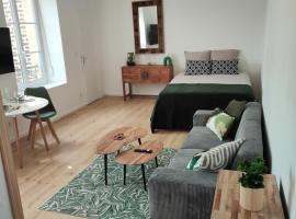 CMG Studio 202 XL Petit Bois Place Ducale, pet-friendly hotel in Charleville-Mézières