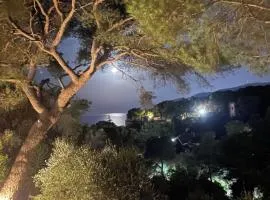 Appartamento in Villa a Pinamare