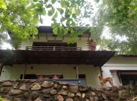 Seethavanam Farmstay at Forest Edge