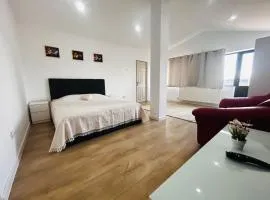 Modern Apartment in Voluntari-Near Bucharest