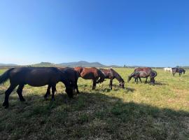 Il Gelsomino Bio Agriturismo, hotel a Alberese
