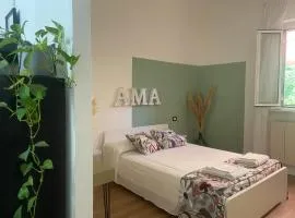 AMA HOMe, appartamento in centro con terrazza