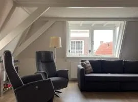 Luxury apartment in the center