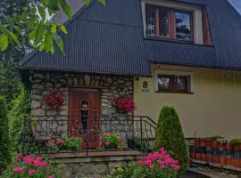 Pokoje Goscinne Majerczyk-Mountain View