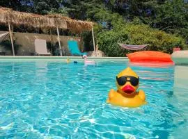 Ile des Plaisirs - Petit-Dejeuner Tropical - Chambres d'Hotes Adultes