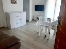 appartamento Levi