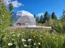 Bubble House glamping telk