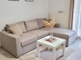 Center River Apartment