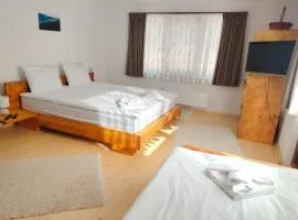 Калиновата къща