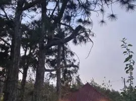 Cabañas Hiraphet