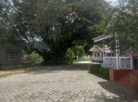 Ooty FernCrest