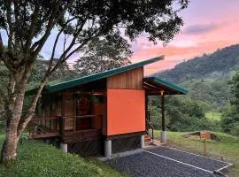 La cabana de Tata books, nature, and contemplation