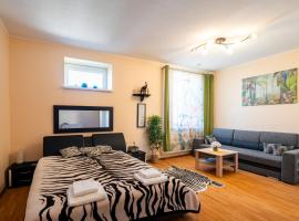 Apartamentai pas Reginą