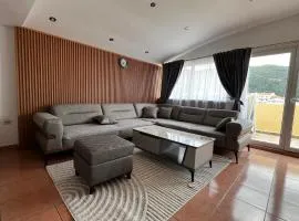 Apartment Zevs 5