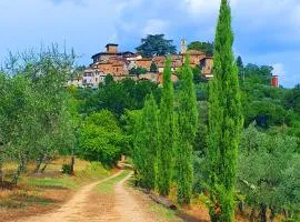 Casa di Laura in Chianti - large & charming house (host 7 people)