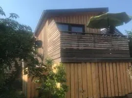 Tiny house with a view