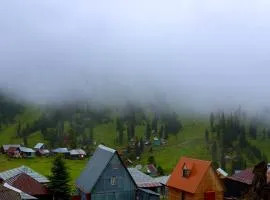Hillside Bakhmaro