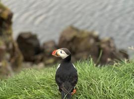 Álfheimar Hotel, khách sạn ở Borgarfjordur Eystri