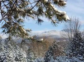 Sutton's montagne view