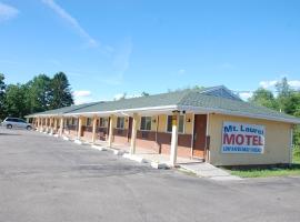 Mount Laurel Motel, lyžařské středisko v destinaci Hazleton