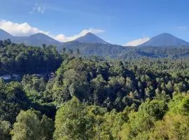 Munduk Twin Homestay