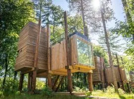 Modern Stay with Sauna & Pool