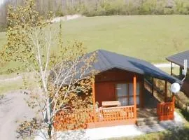 Chalet Accessible avec Terrasse - 5 Pers - API-1-52-283
