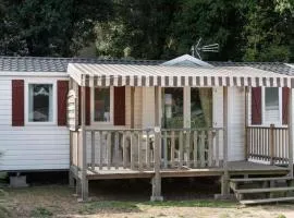 Mobil home spacieux 6 pers, terrasse - API-1-52-507