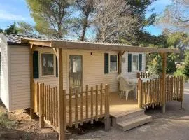 Mobil-home avec Terrasse à Lézignan-Corbières, 6 personnes - API-1-52-736