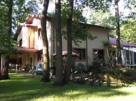 Villa Podkowa
