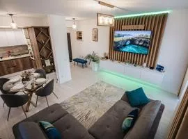 Luxury Designer Apartment - Romanescu Park