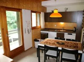 Diablerets D 048 - MOUNTAIN apartment 4 pers