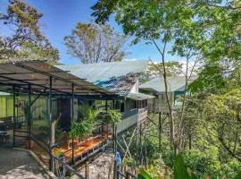 Casa de Cacao, A Treetop Cottage in Cacao Forest!