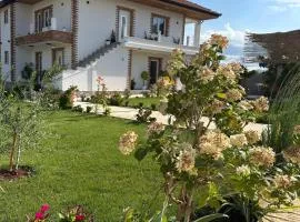 Mosaic Guesthouse