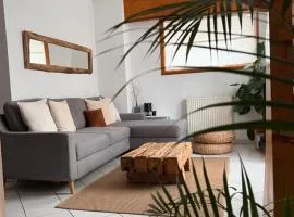 Duplex Terrasse Centre Parking