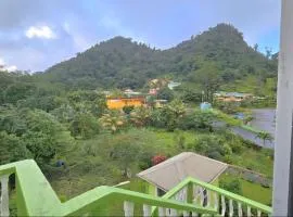 Top View Terrace