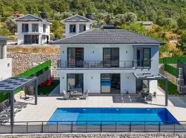 Villa DeFnE Fethiye
