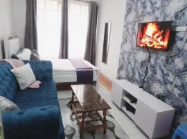 Kahawa Wendani Maguna's Supermarket Apartment 16