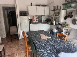 Mira