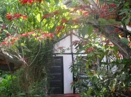 Banana Jungle Lodge