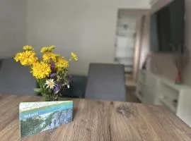 Apartment Tonc